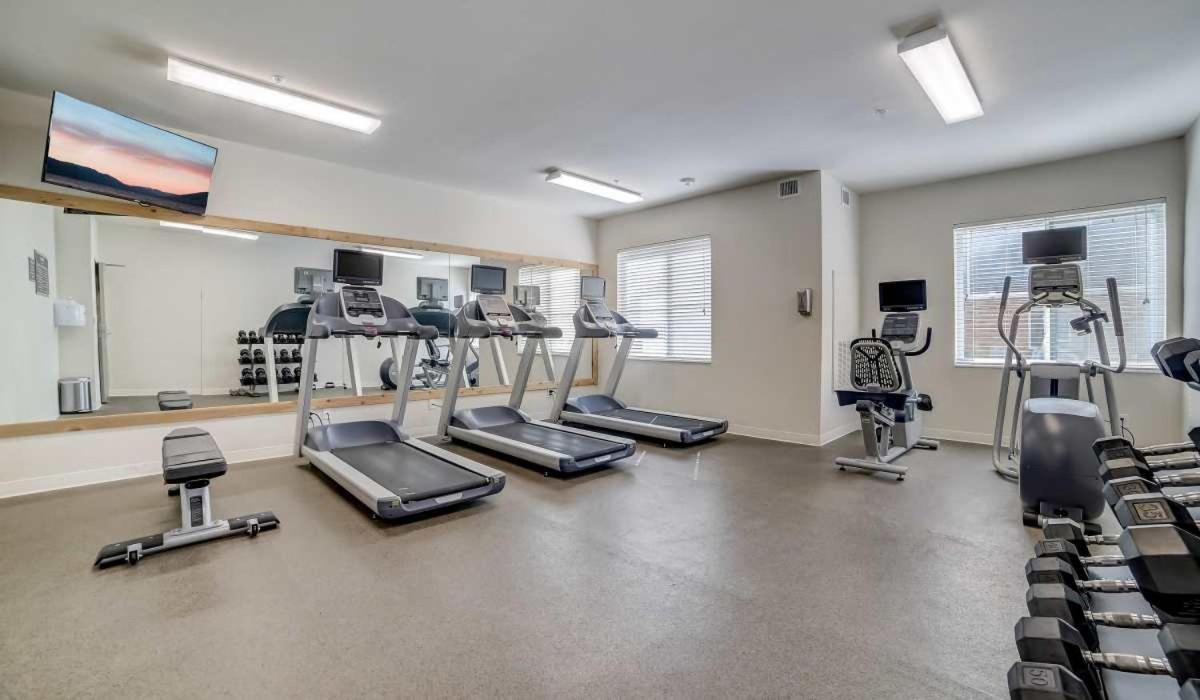 Apartment Chic 1 Bedroom I Pool I Gym!